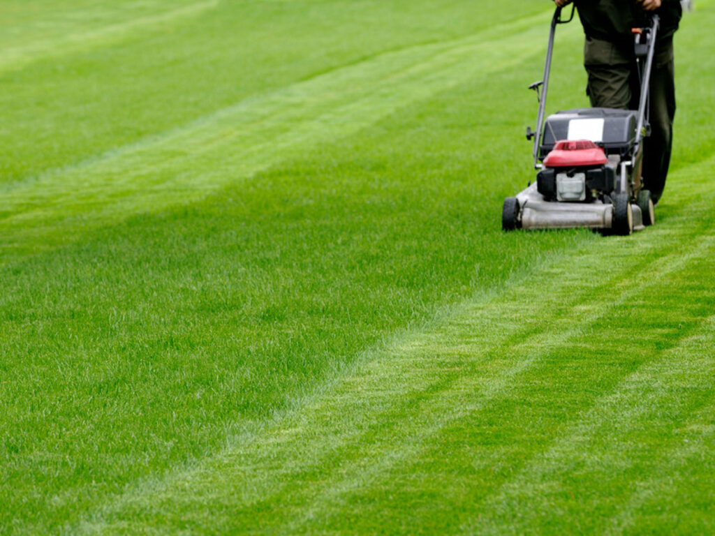 bigstock-Person-cutting-grass-with-mowe-7673221-6j3